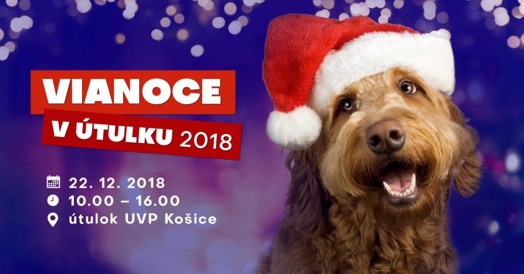 Vianoce v útulku UVP Košice