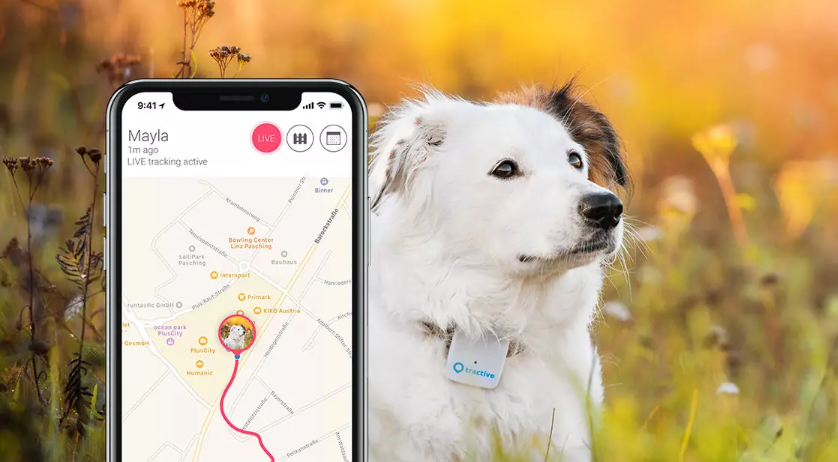 Tractive GPS pre mačky a psov
