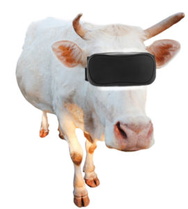 Kravy a virtuálna realita