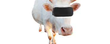 Kravy a virtuálna realita