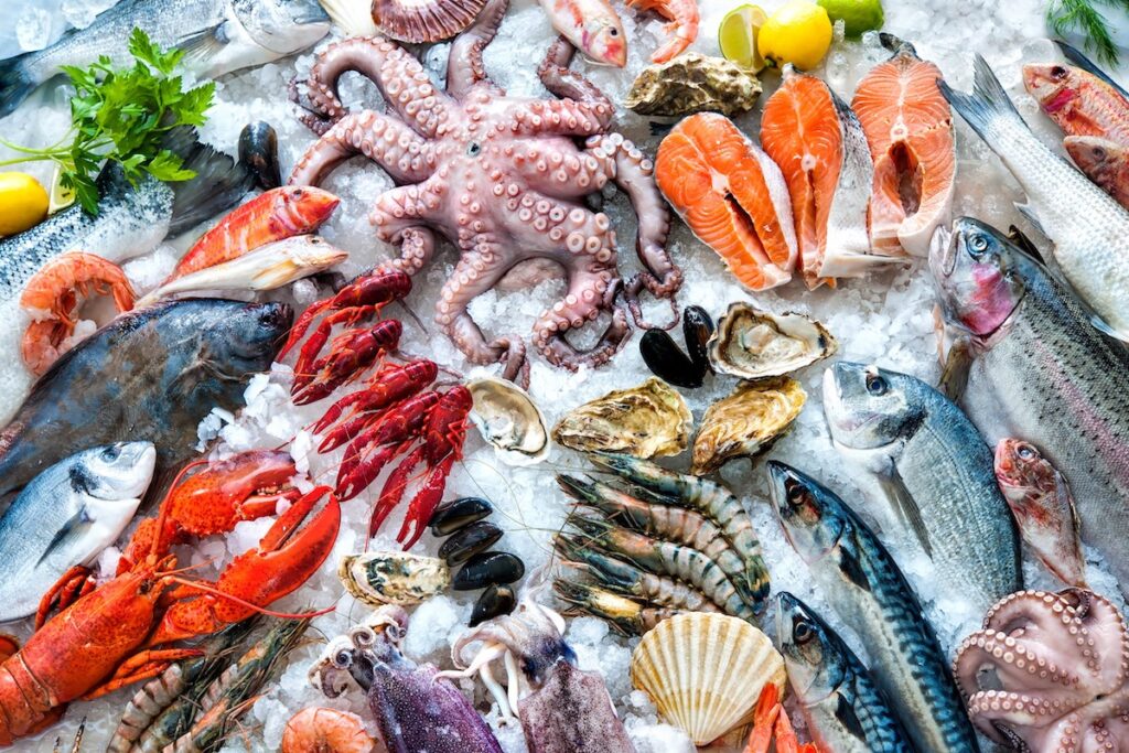 Morské plody. Foto: Shutterstock
